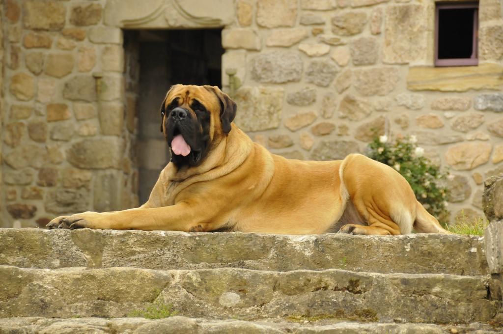 Chateau Du Besset Saint-Romain-de-Lerps エクステリア 写真
