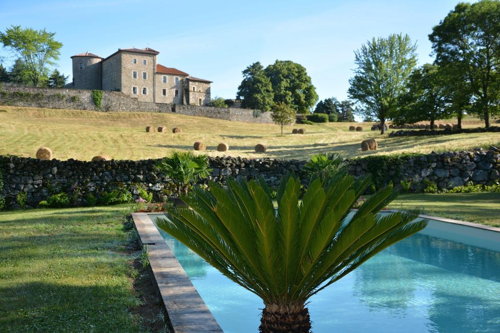 Chateau Du Besset Saint-Romain-de-Lerps エクステリア 写真
