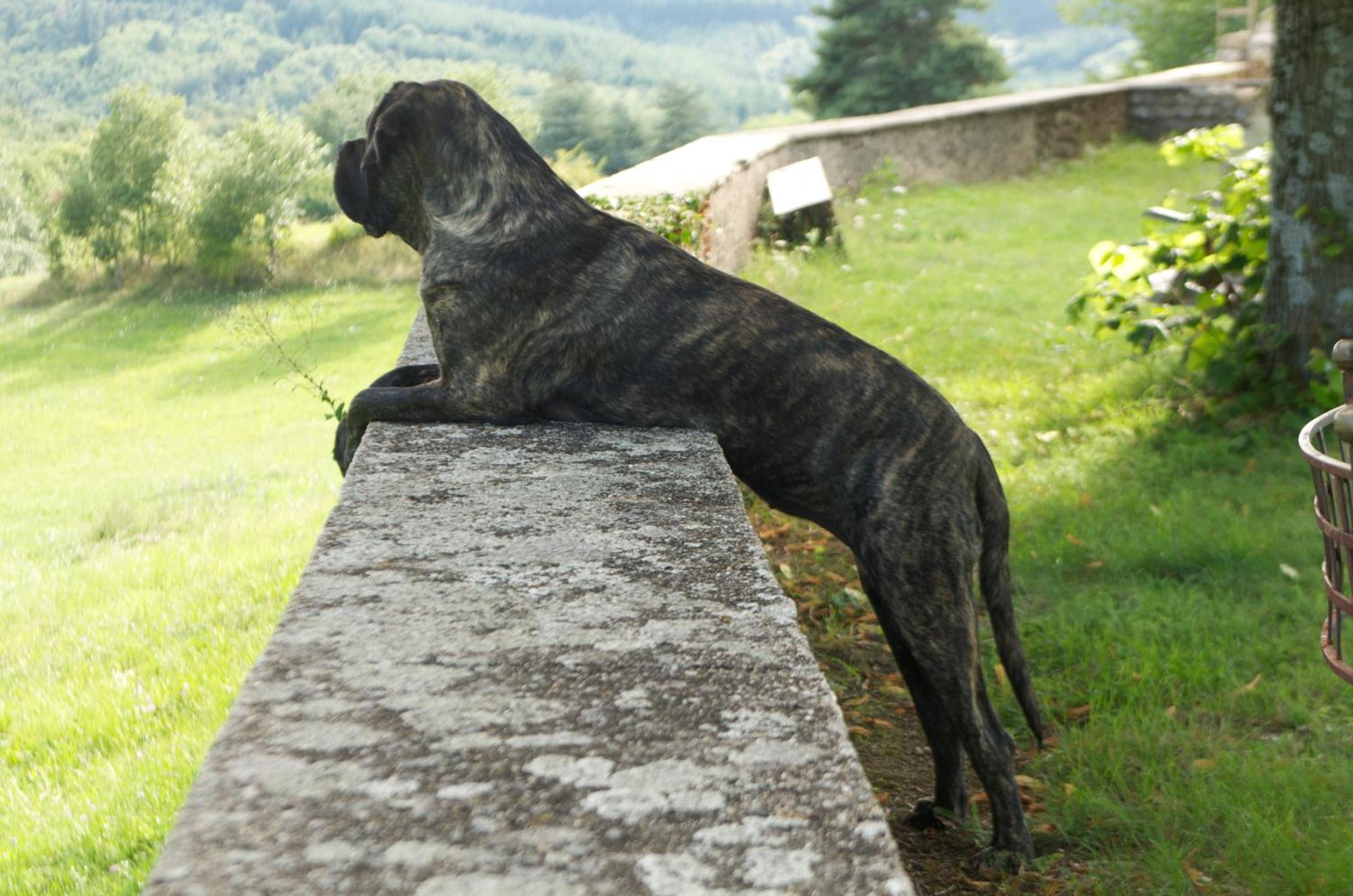 Chateau Du Besset Saint-Romain-de-Lerps エクステリア 写真